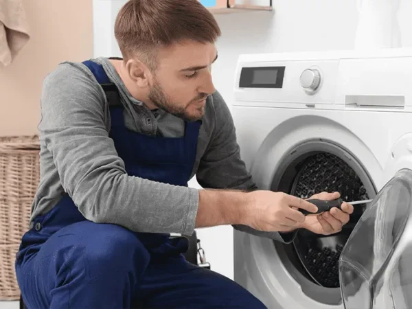 نمایندگی لباسشویی اسنوا در اهواز